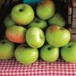 Pop-Up Apple Orchard Returns to Artisan Bistro at The Ritz-Carlton, Boston This Fall